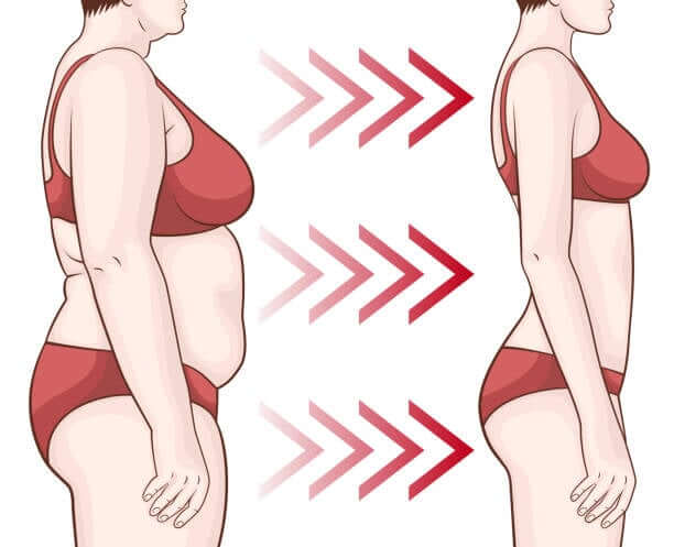 Fat Burner For Women - Vita Organics